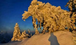 广场舞冰雪天堂背面